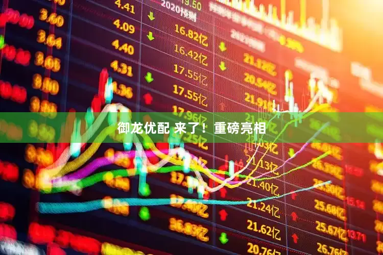 御龙优配 来了！重磅亮相