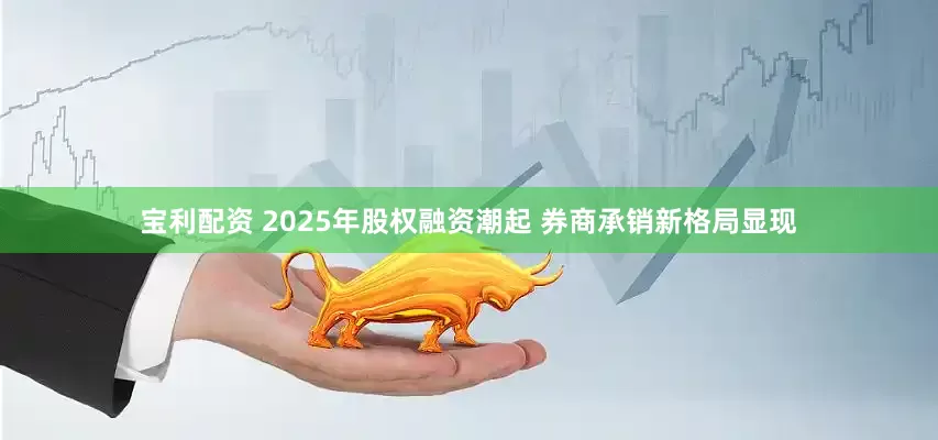 宝利配资 2025年股权融资潮起 券商承销新格局显现